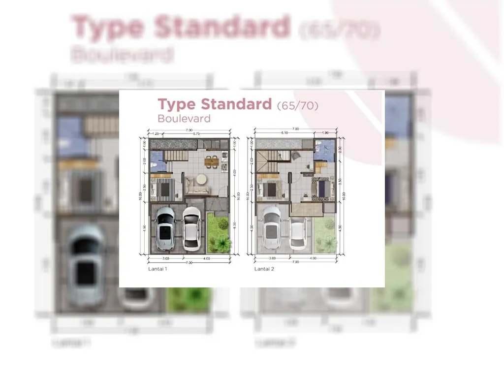 Elora Type Boulevard.jpg